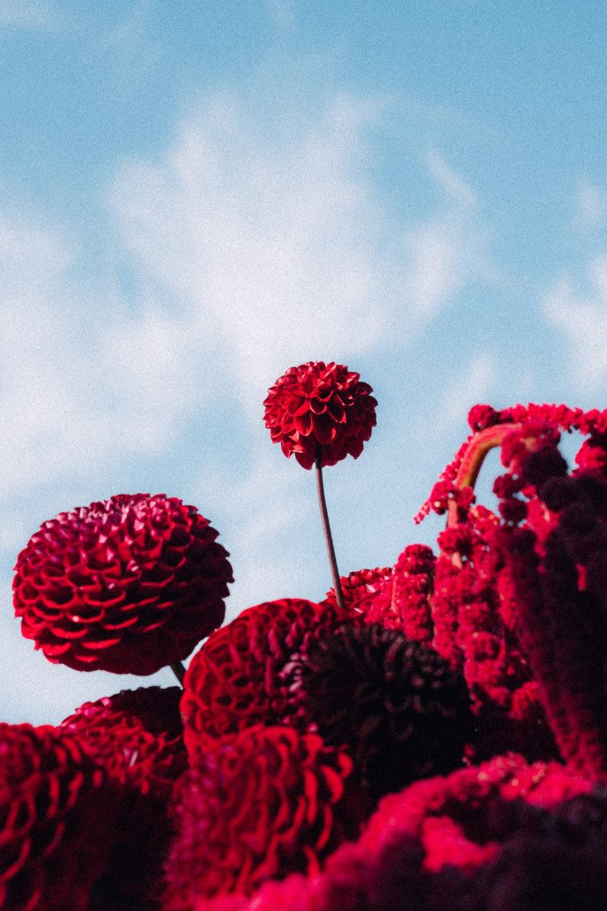 Wedding reception table red flower decor in vilnius rooftop oldtown